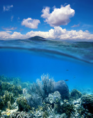 Coral reef with cloudy blue sky horizon split
