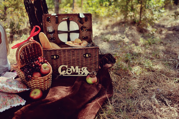 autumn still life in the woods picnic basket with fruit and brea
