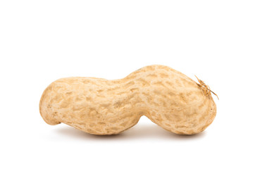 peanuts isolated