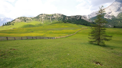 pascoli al Prato Piazza, in Val Pusteria