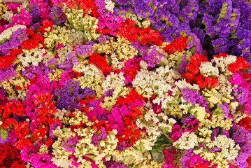 Fototapeta na wymiar Floral composition