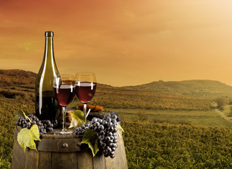 Wine with vineyard on background