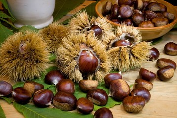 Castagne mature  con il gusco