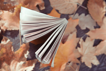 Obraz premium Autumn book