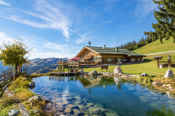 Mountain chalet with swimming pond