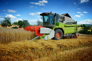 Obraz premium Combine harvester working on cultivated field