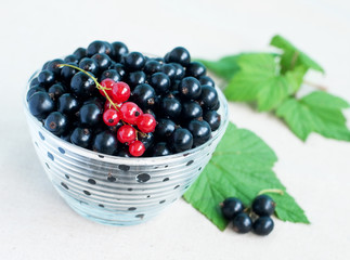 blackcurrants