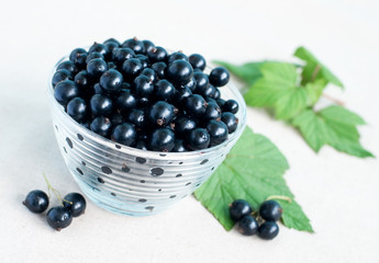 blackcurrants