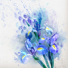 Watercolor iris - 57523611