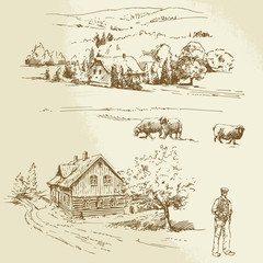 rural landscape, agriculture, farm © canicula