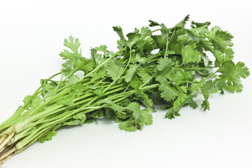  parsley on white paper