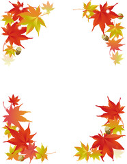 紅葉　もみじ　秋 フレーム