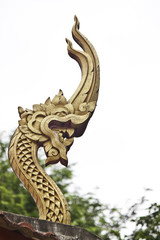 Fototapeta premium naga image