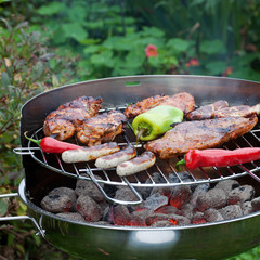 leckere w&uuml;rstchen und grillfleisch