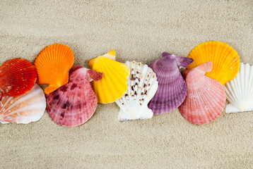Marine still life.