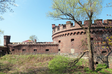 Fototapeta na wymiar Der Wrangel tower, Kaliningrad, Russia