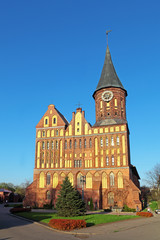 Fototapeta na wymiar Starożytny Katedra, Kaliningrad, Rosja