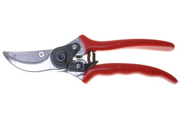 Garden tool, secateurs isolated on white background