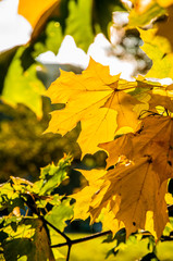 Beautiful sunny day in Wroclaw