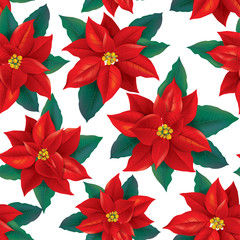 Seamless pattern of red Poinsettia