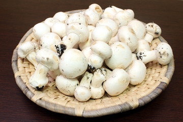 champignon
