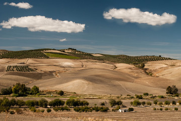 The landscape of Andalusia