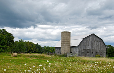 Fototapeta na wymiar Michigan farm