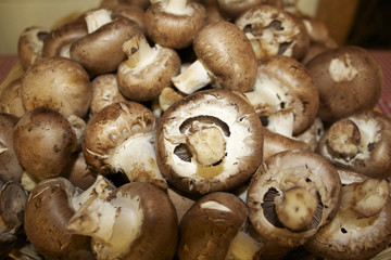 Portabello Mushrooms