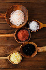 different type of salt in wooden spoons