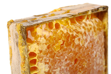 Honey comb