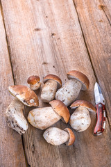 Porcini Mushroom lying on a Wooden Table