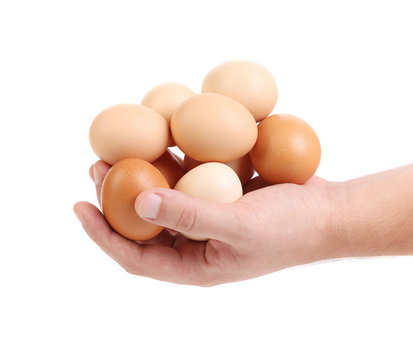 Hand holding brown eggs