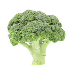 Broccoli vegetable.