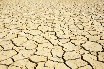 dry soil texture background