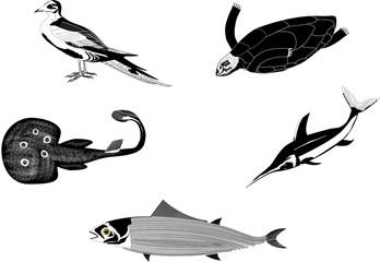 Sea inhabitants set © Massaget