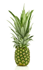 Fototapeta premium Ananas