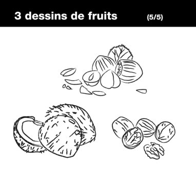 fruits à coque : noix de coco,noix, noisette