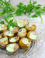 escargots farcis de bourgogne