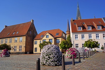 SCHLESWIG (Schleswig-Holstein) - Stadtpanorama