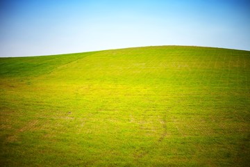 Empty Grass Field with Clear Blue Sky