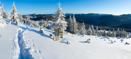 Morning winter mountain landscape (Carpathian, Ukraine)