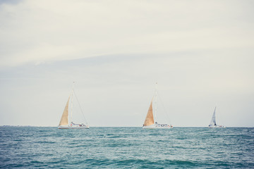 Naklejka premium Sailing ship yachts with white sails