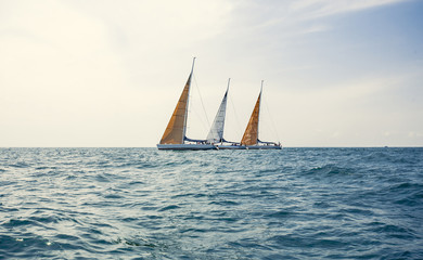 Obraz premium Sailing ship yachts with white sails