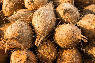 Fresh coconuts at market place