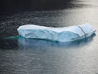 Eisscholle im Prinz-Christian-Sund, Grönland