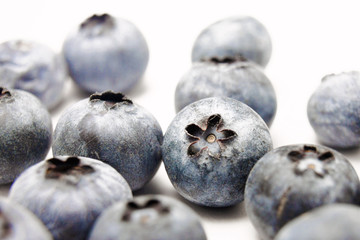 Blueberries (white background)