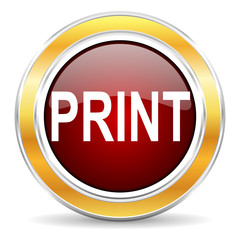 print icon