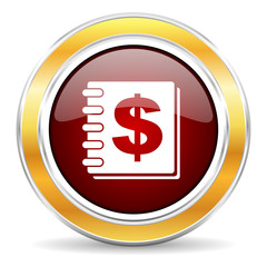 money icon