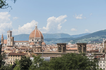 Fototapeta premium The Basilica di Santa Maria del Fiore in Florence, Italy