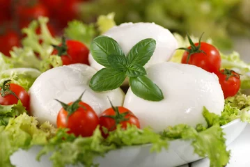 Foto op Plexiglas mozzarella di bufala italiana con pomodorini di pachino © al62